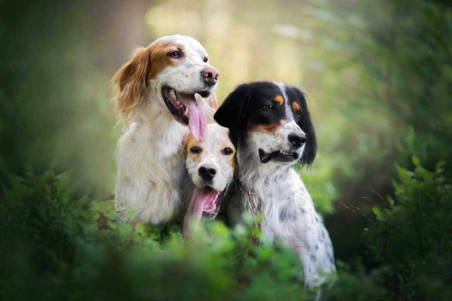 D6D6385-Edit-Edit-scaled