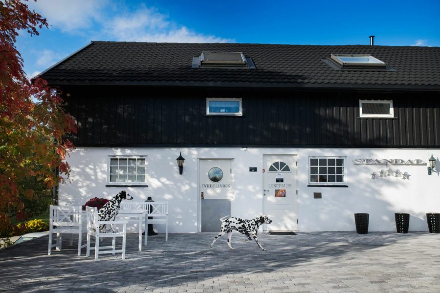 DSC_2051-Edit-scaled