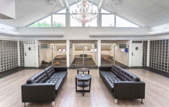 hunde_og_kattehotell