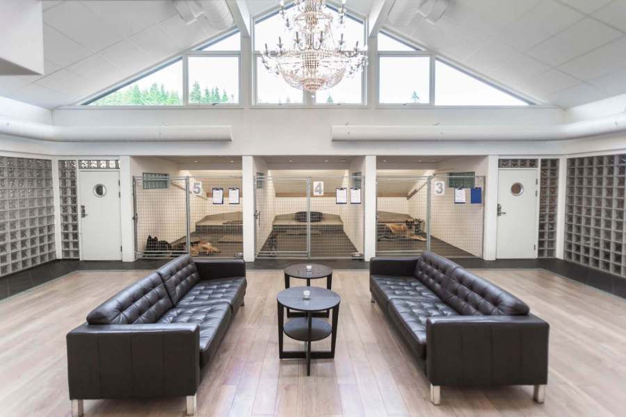 hunde_og_kattehotell