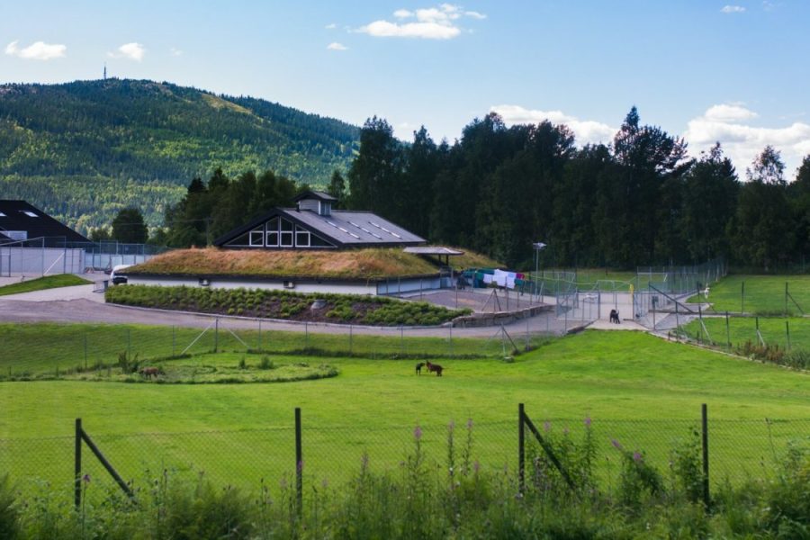 standal-banner-2-scaled